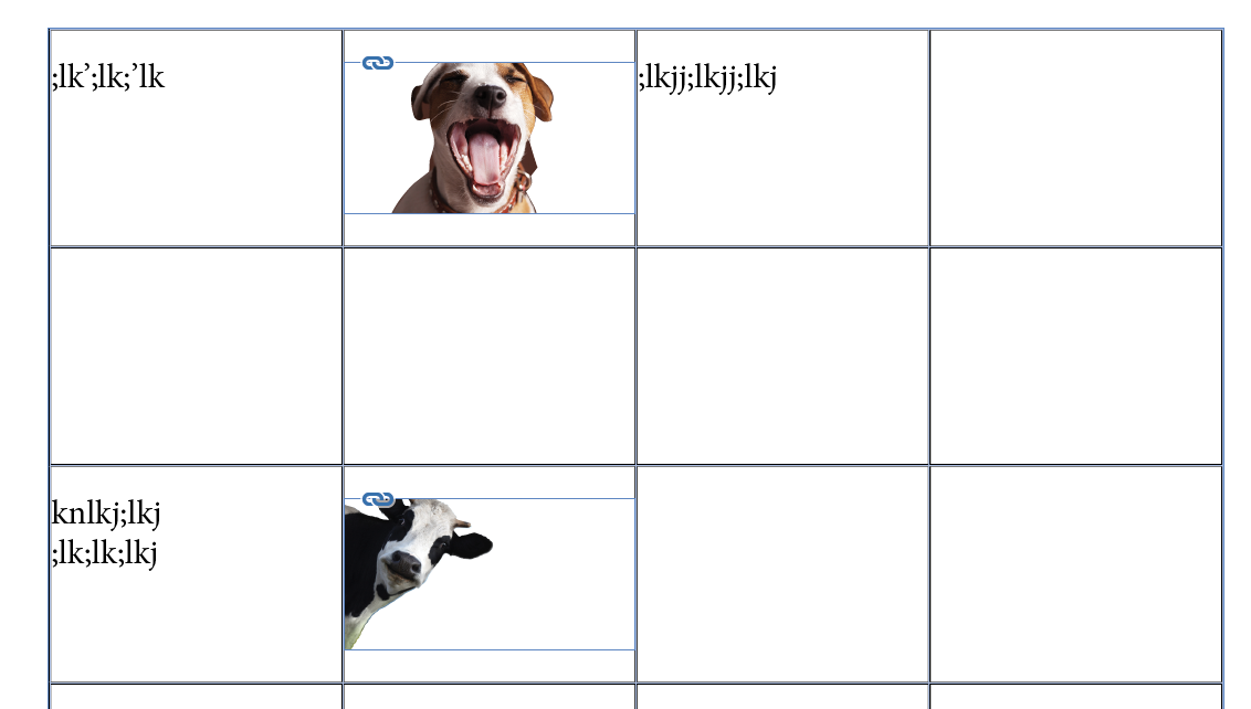 Screen Shot 2019-04-29 at 8.29.00 AM.png